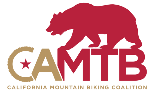 cropped-CAMTB-Logo-Ursa-Major-Gold-scaled-1-e1784567543467